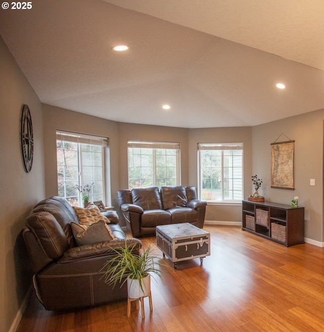 living room with hardwood / wood-style flooring and a wealth of natural light