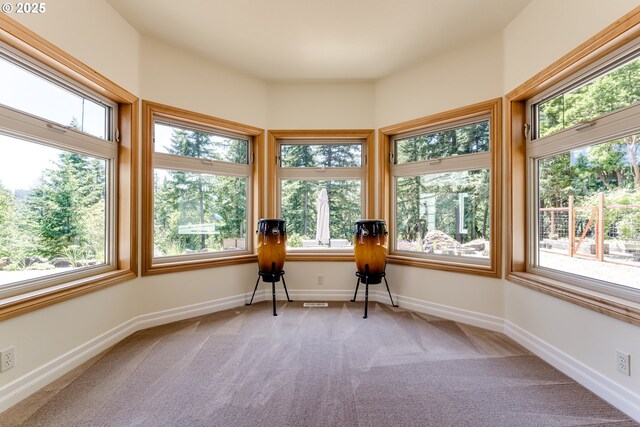 85339 Svarverud Rd, Eugene, OR 97405 - sunroom / solarium featuring plenty of natural light, carpet floors, and baseboards