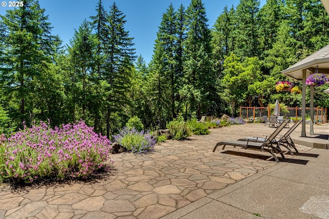 85339 Svarverud Rd, Eugene, OR 97405 - view of patio