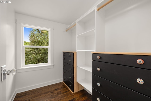 7928 SE 21st Ave, Portland, OR 97202 - spacious closet with dark wood-style flooring