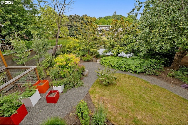 7928 SE 21st Ave, Portland, OR 97202 - view of yard with a garden