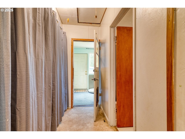 corridor featuring light colored carpet and attic access