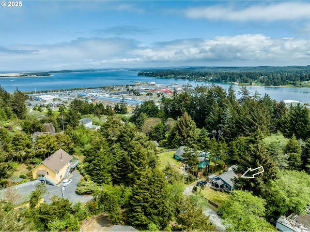 bird's eye view with a water view and a wooded view