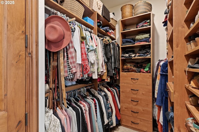 walk in closet with carpet floors