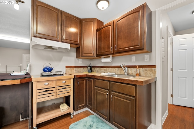 kitchen featuring light wood finished floors, light countertops, under cabinet range hood, and a sink