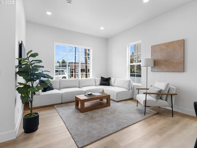 living room featuring light hardwood / wood-style flooring