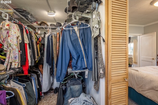 view of spacious closet