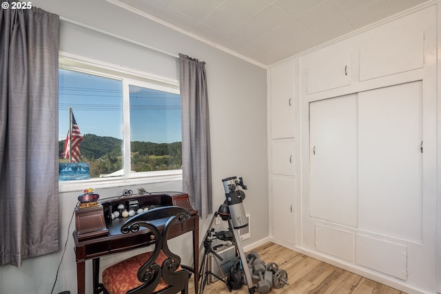 workout area with light wood finished floors