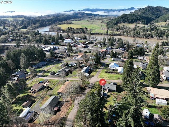 bird's eye view with a mountain view