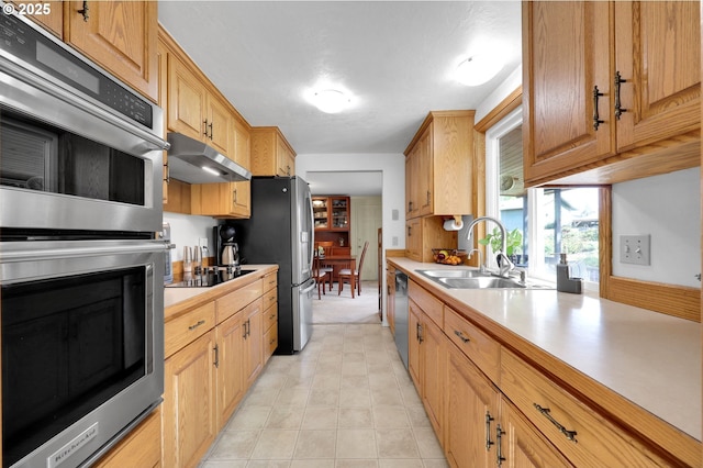 kitchen featuring under cabinet range hood, appliances with stainless steel finishes, a sink, and light countertops