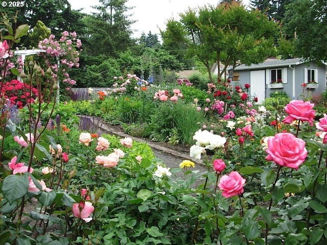view of yard featuring fence and an outdoor structure