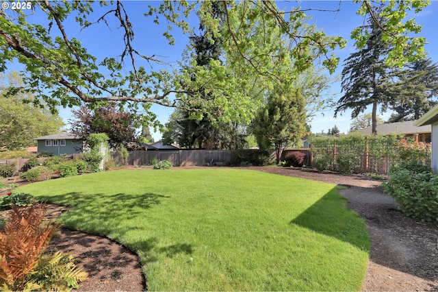 view of yard with a fenced backyard
