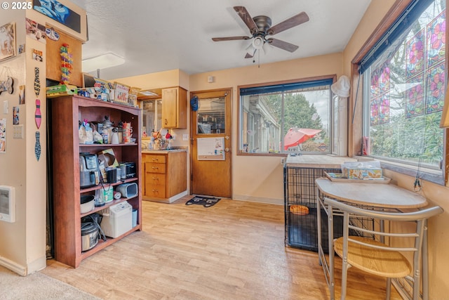 kitchen with ceiling fan and light wood-type flooring