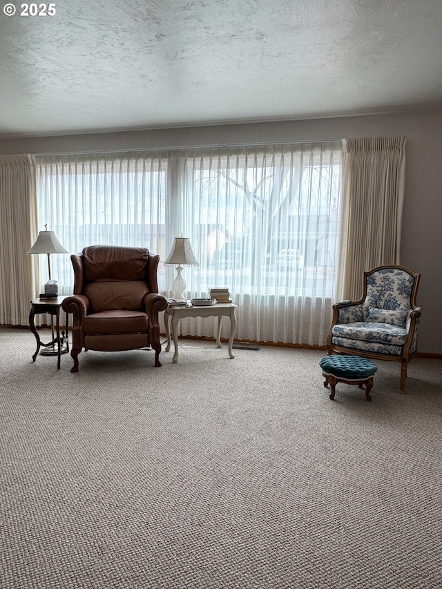 living area featuring a textured ceiling and carpet flooring