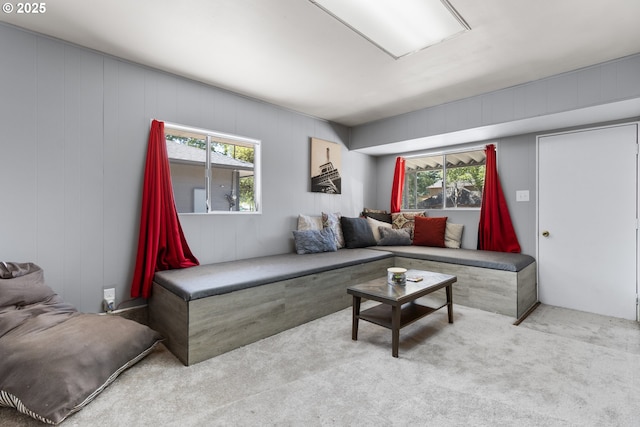 2408 N College St, Newberg, OR 97132 - living area featuring carpet floors