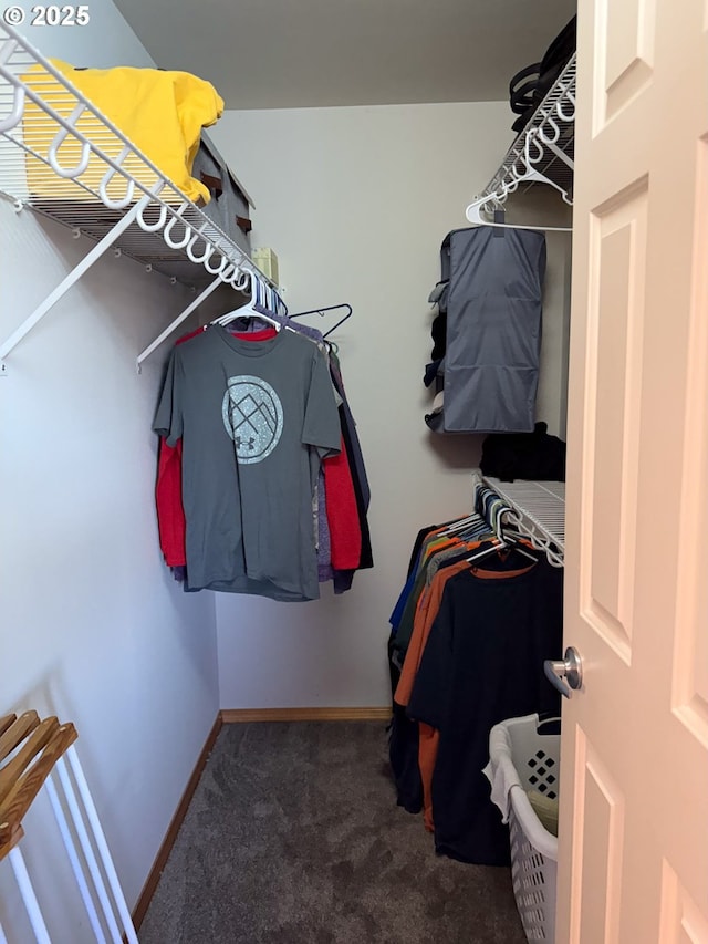 walk in closet featuring dark colored carpet