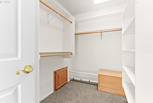 18183 SE Richey Rd, Gresham, OR 97080 - spacious closet with carpet floors