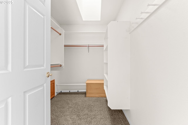 18183 SE Richey Rd, Gresham, OR 97080 - walk in closet with carpet floors and a skylight
