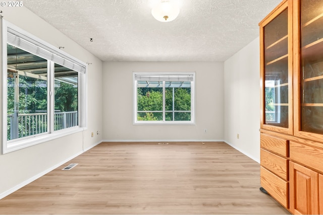 18183 SE Richey Rd, Gresham, OR 97080 - spare room with plenty of natural light, a textured ceiling, and light wood-type flooring