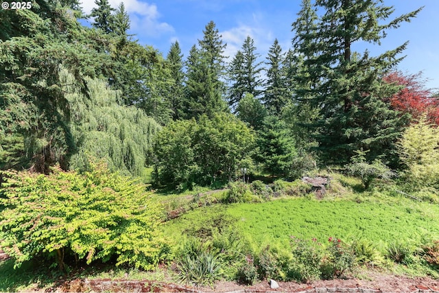 18183 SE Richey Rd, Gresham, OR 97080 - view of woods