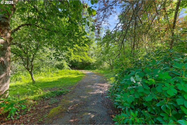 18183 SE Richey Rd, Gresham, OR 97080 - view of road featuring a forest view