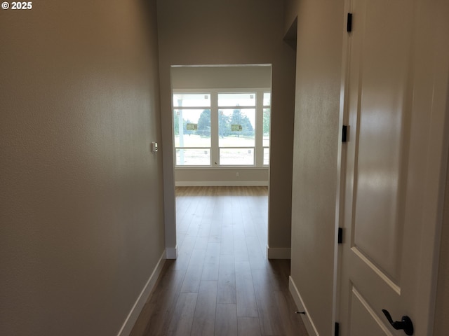 5602 N 93rd Ave Unit Lt205, Camas, WA 98607 - hall with baseboards and dark wood-style flooring