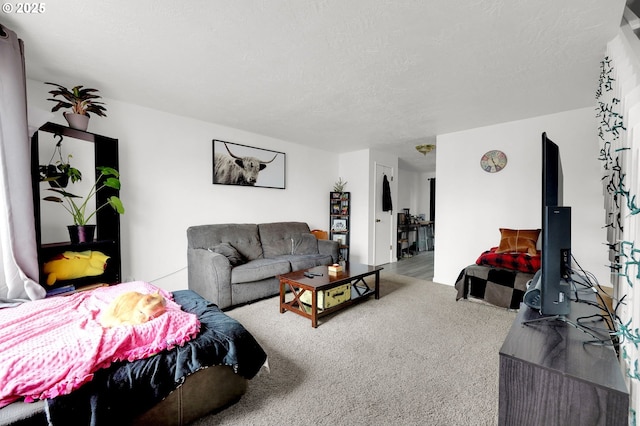 living area featuring carpet floors and a textured ceiling