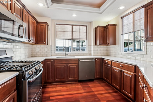 kitchen featuring a raised ceiling, appliances with stainless steel finishes, sink, and a wealth of natural light