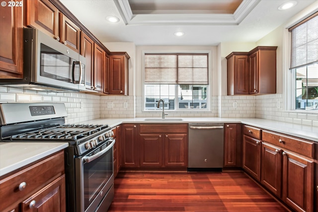 kitchen with stainless steel appliances, dark hardwood / wood-style flooring, decorative backsplash, a tray ceiling, and sink