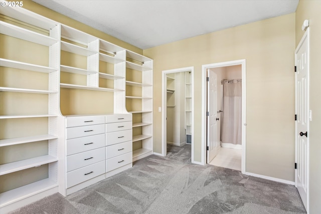 walk in closet with light colored carpet