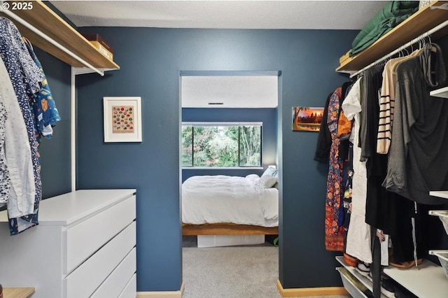 spacious closet featuring carpet flooring