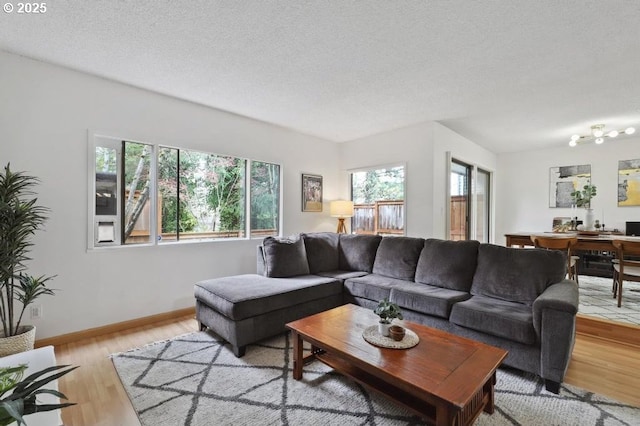 living room featuring baseboards, a textured ceiling, and light wood-style flooring