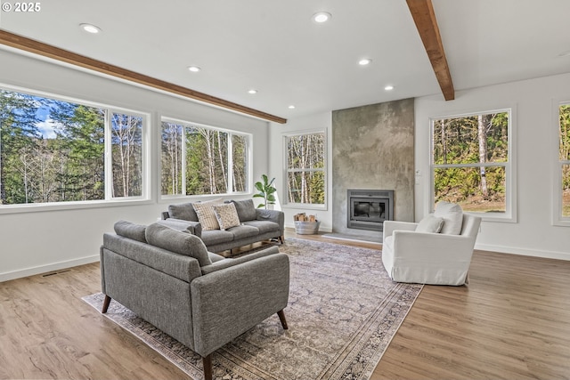 living room with baseboards, beam ceiling, a healthy amount of sunlight, and wood finished floors