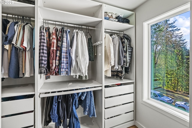 view of closet