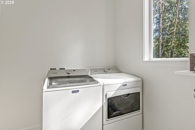 laundry area featuring independent washer and dryer and laundry area