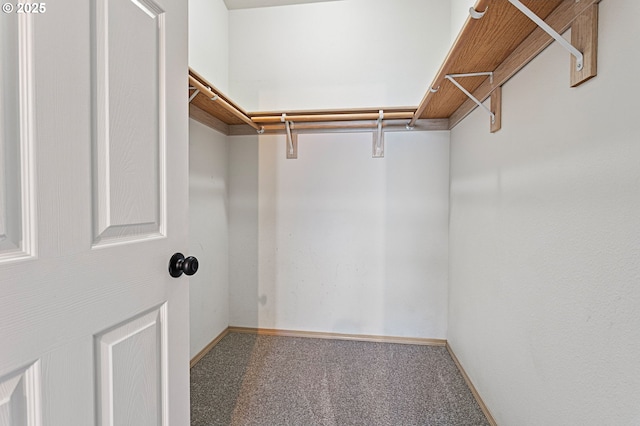 17006 SE 6th St, Vancouver, WA 98684 - spacious closet with carpet floors