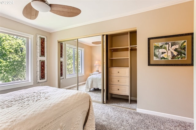 bedroom featuring ceiling fan, carpet floors, and multiple windows