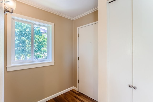 doorway to outside featuring dark hardwood / wood-style flooring and crown molding