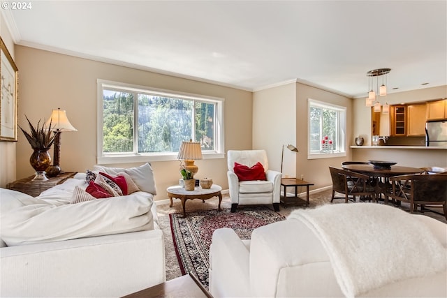 carpeted living room featuring ornamental molding