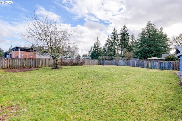 view of yard featuring a fenced backyard