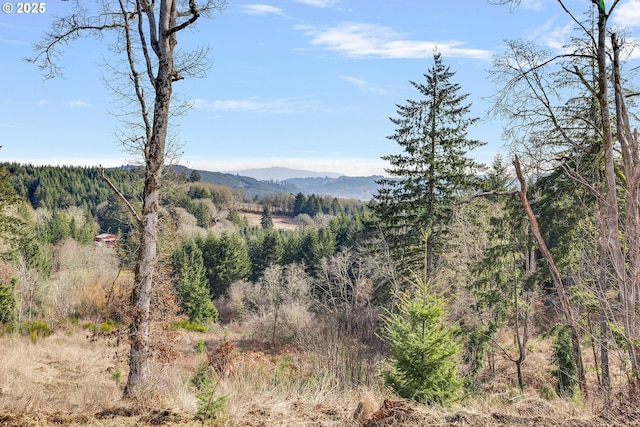 8852 SW Summit Ave SW, Gaston OR, 97119 land for sale