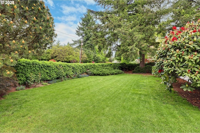 8730 SW Barnes Rd, Portland, OR 97225 - view of green lawn
