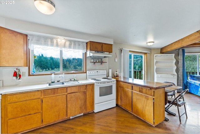 kitchen featuring a sink, white electric range, a peninsula, under cabinet range hood, and dark wood-type flooring
