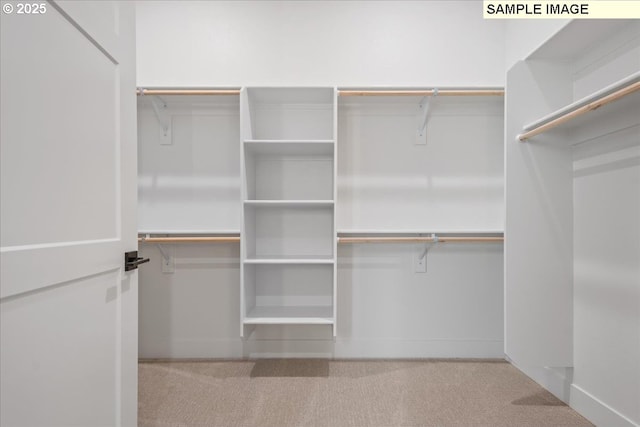 spacious closet featuring carpet floors