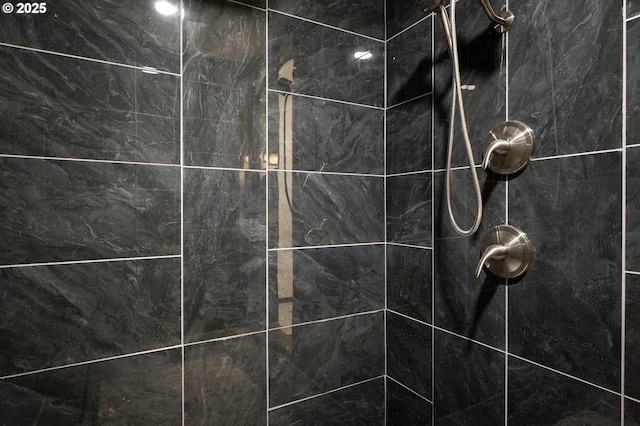 interior details with tiled shower
