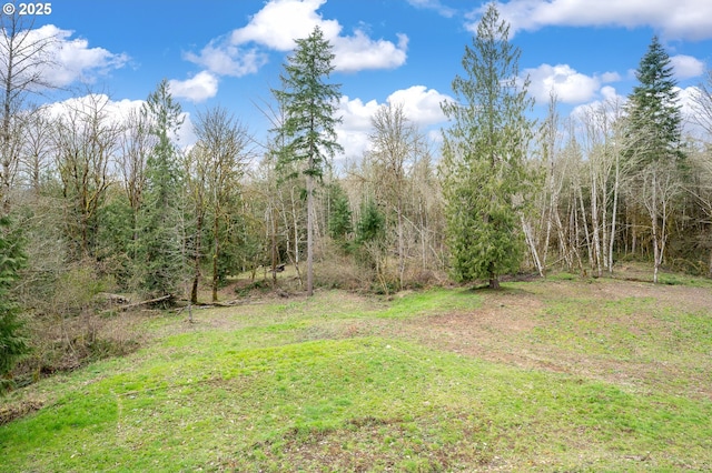 view of yard with a forest view