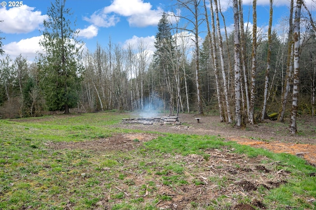 view of yard with a forest view