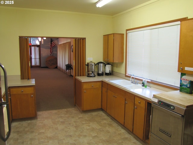 kitchen featuring crown molding and sink