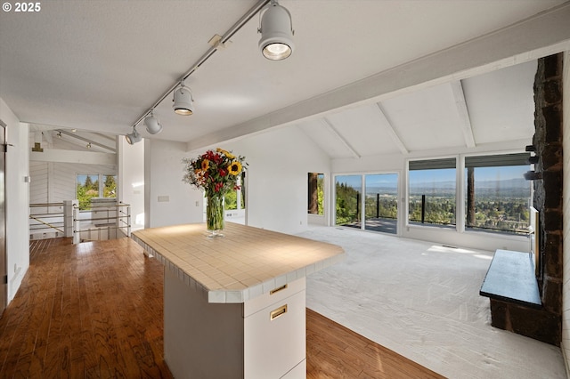 kitchen featuring tile counters, healthy amount of natural light, open floor plan, and wood finished floors