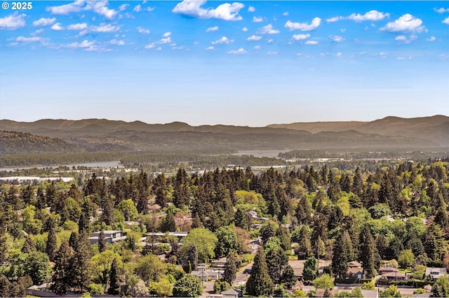 mountain view featuring a forest